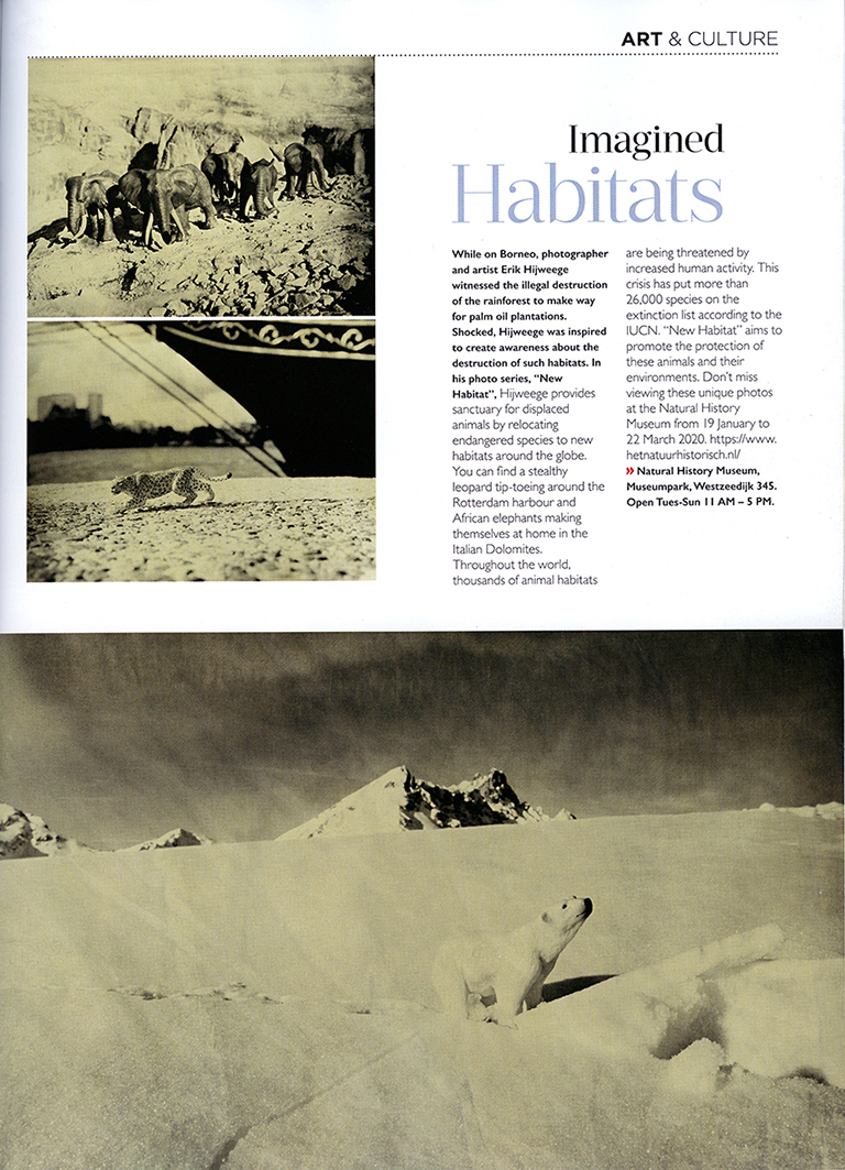 Inside Rotterdam Magazine